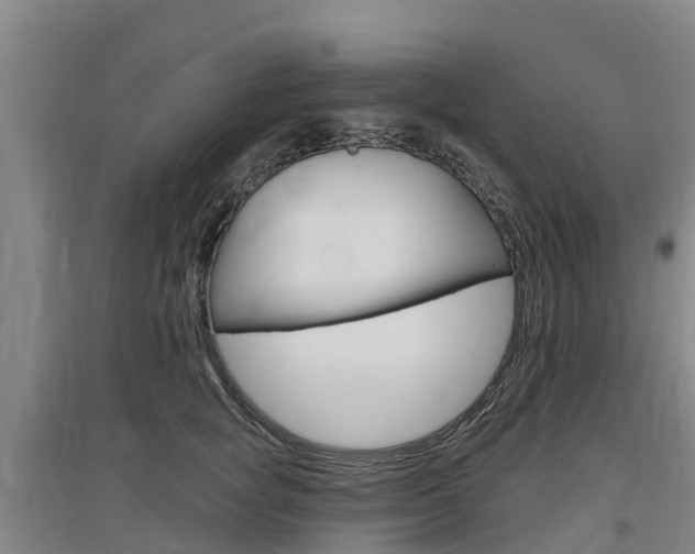 X0000097470757200802220829