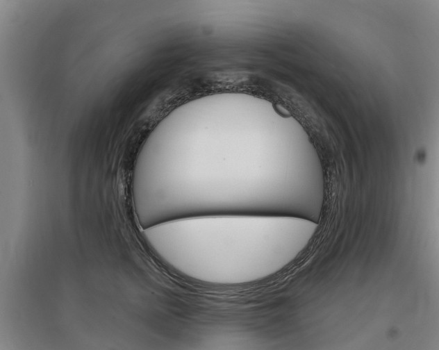 X0000097470758200802220829