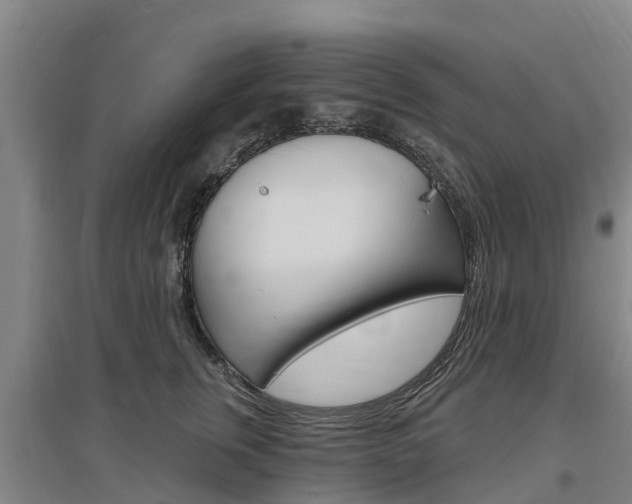 X0000097470759200802220829