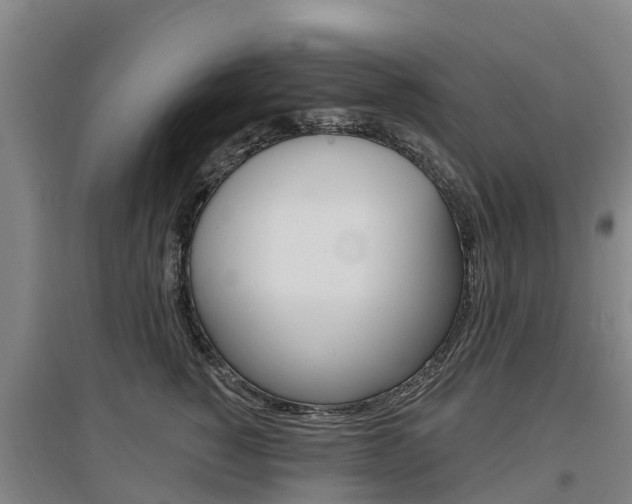 X0000097470760200802220829