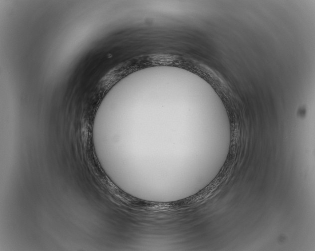 X0000097470761200802220829