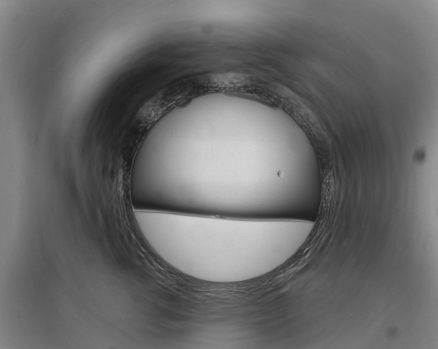 X0000097470762200802220829