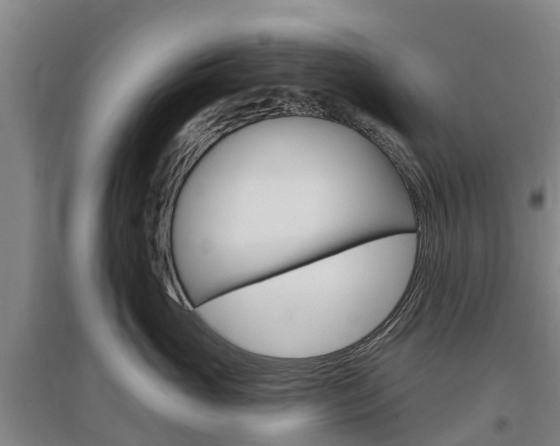 X0000097470765200802220829