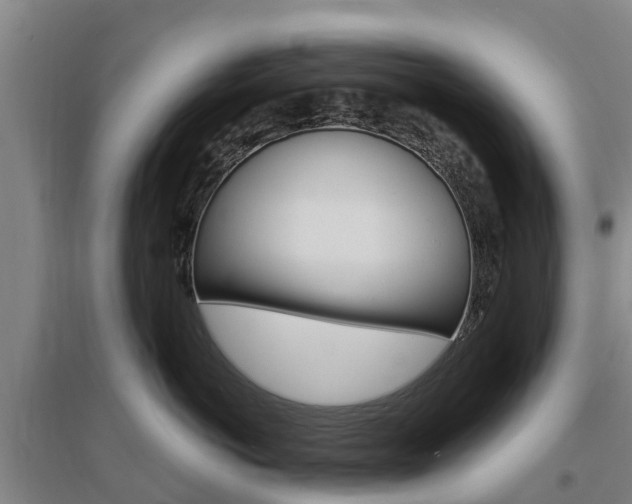 X0000097470766200802220829