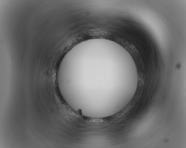 X0000097470767200802220829