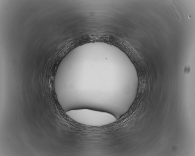 X0000097470770200802220828