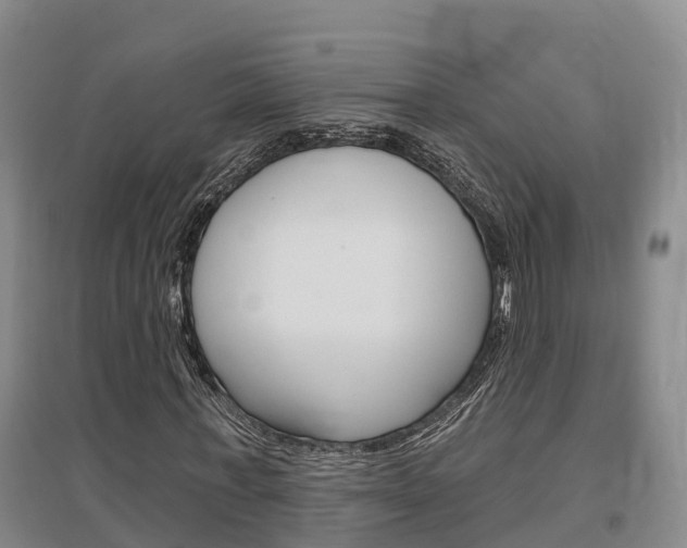 X0000097470771200802220828