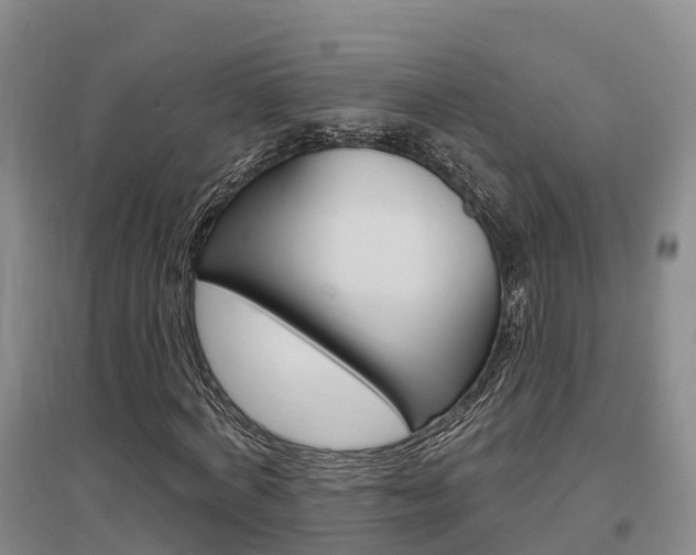 X0000097470772200802220828