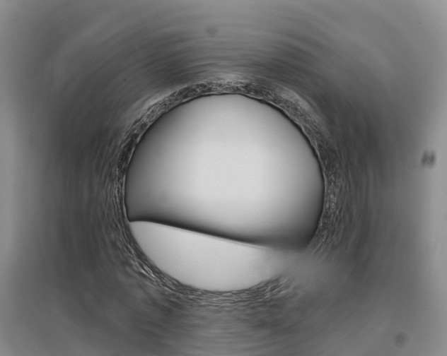 X0000097470773200802220828
