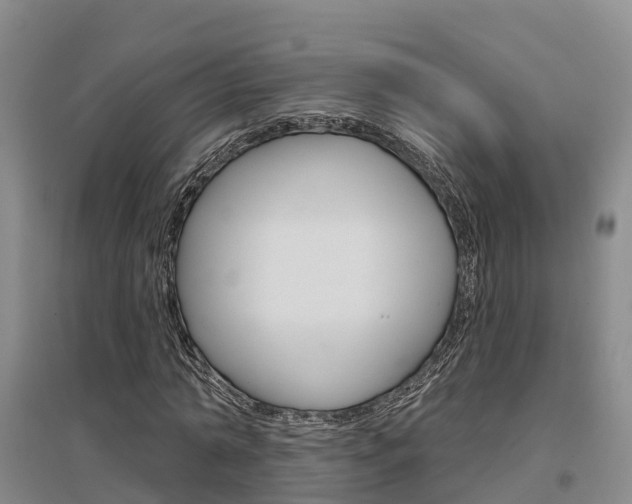 X0000097470774200802220828