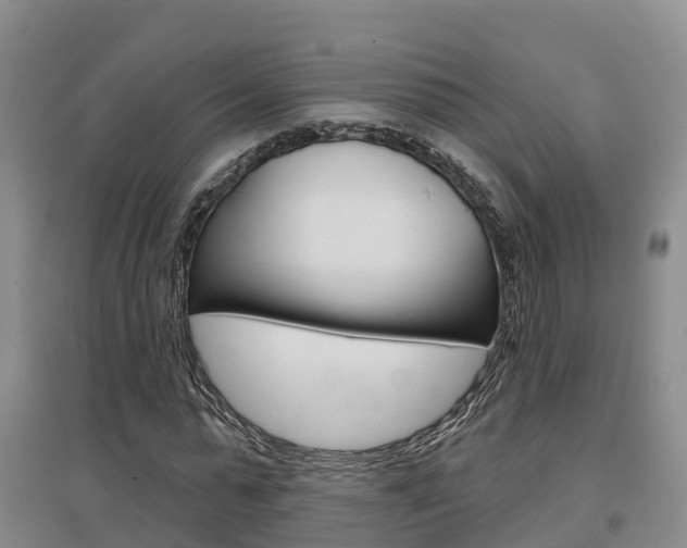 X0000097470775200802220828