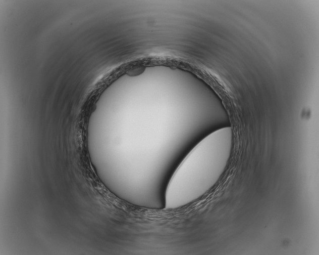 X0000097470776200802220828