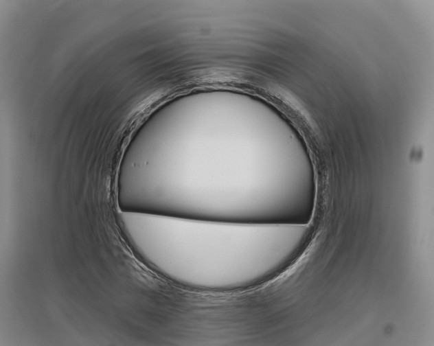 X0000097470777200802220828