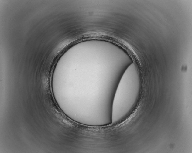 X0000097470778200802220828