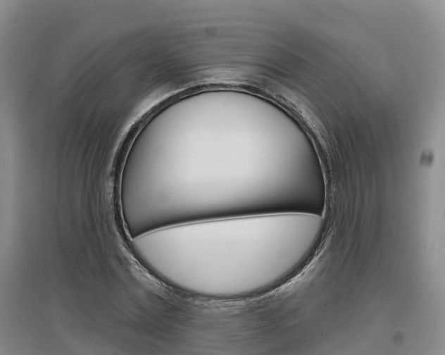 X0000097470779200802220828