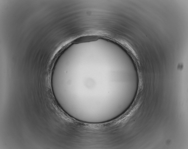 X0000097470781200802220828
