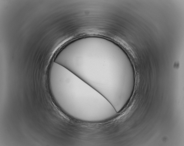 X0000097470782200802220828