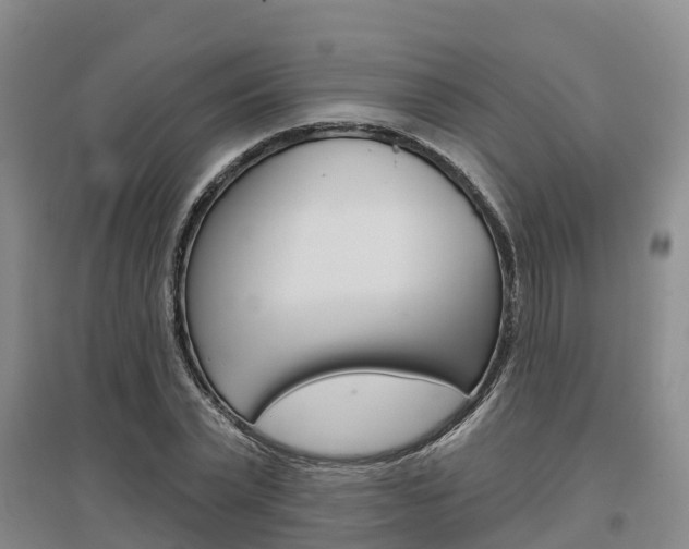X0000097470783200802220828