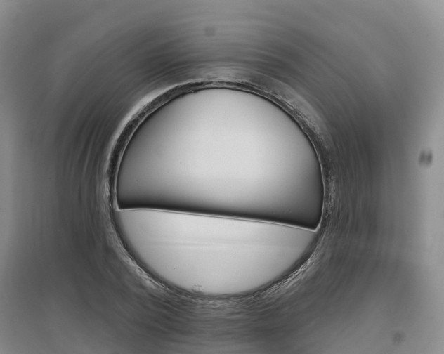 X0000097470784200802220828