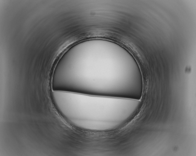 X0000097470786200802220828