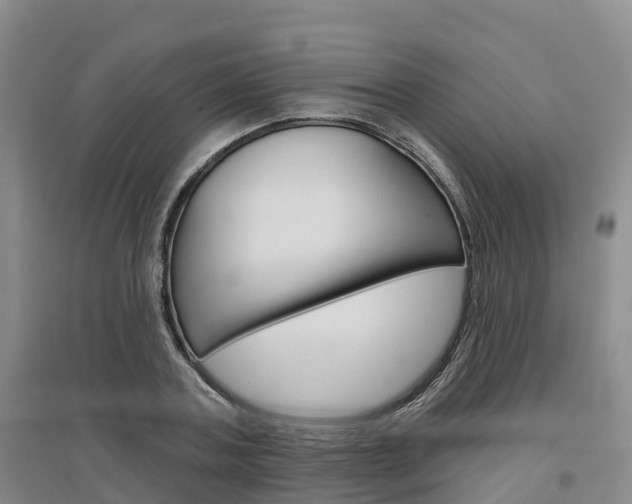 X0000097470787200802220828