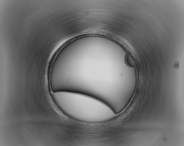 X0000097470788200802220828