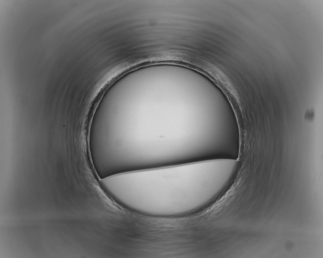 X0000097470789200802220828