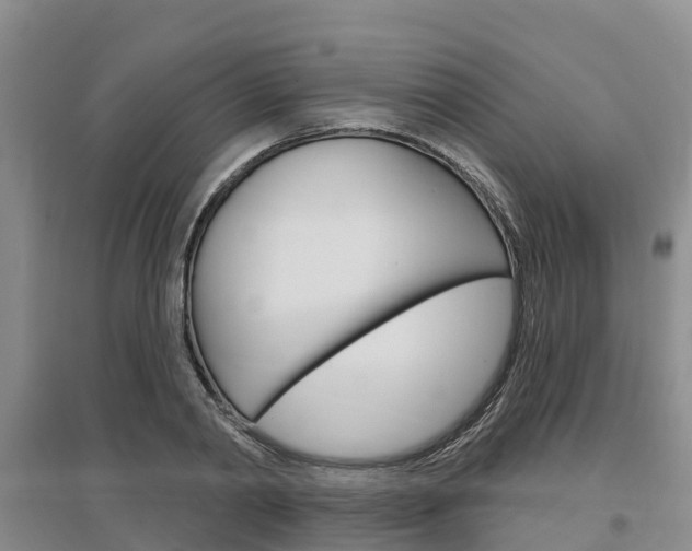X0000097470790200802220828