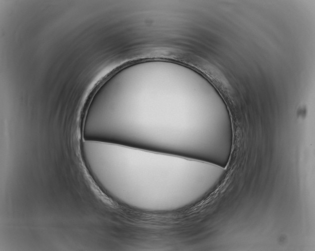 X0000097470792200802220828