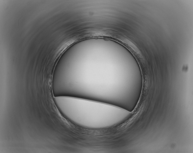 X0000097470793200802220828