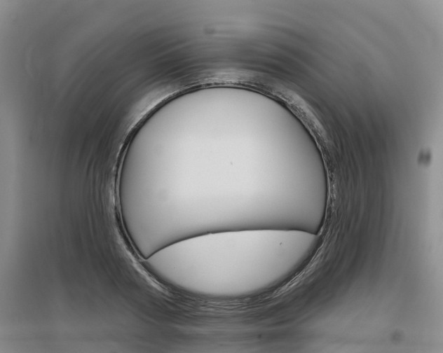 X0000097470794200802220828