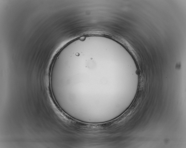 X0000097470795200802220828