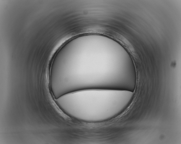 X0000097470796200802220828