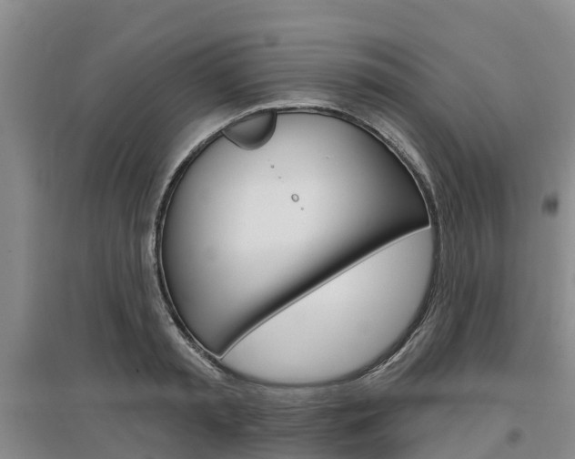 X0000097470797200802220828