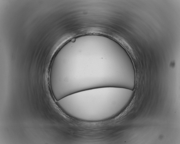 X0000097470798200802220828