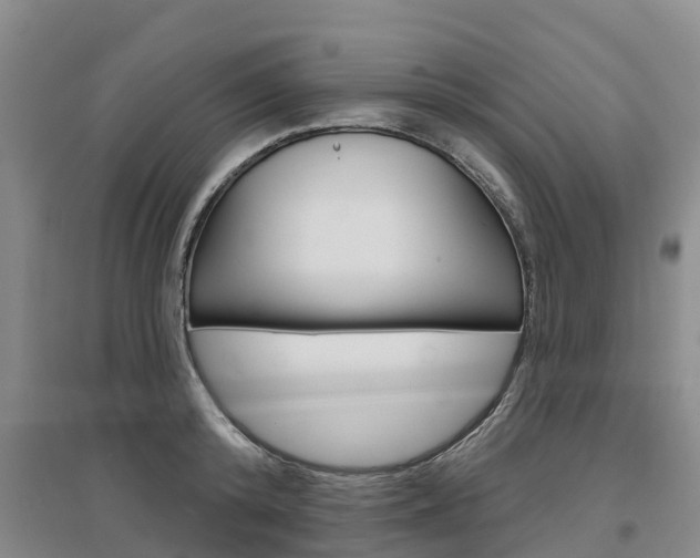 X0000097470800200802220828