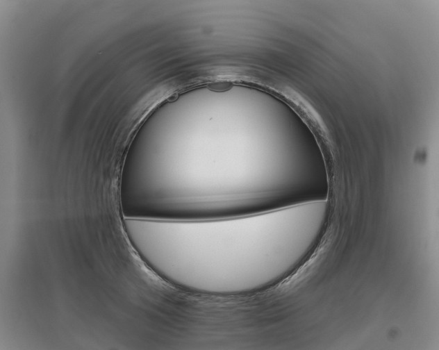 X0000097470801200802220828