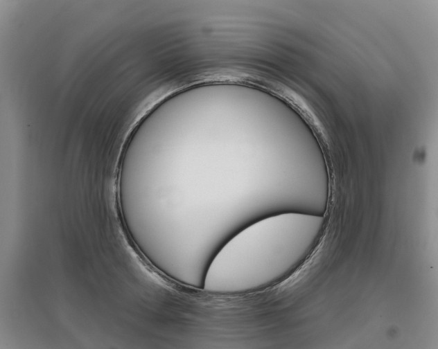 X0000097470802200802220828