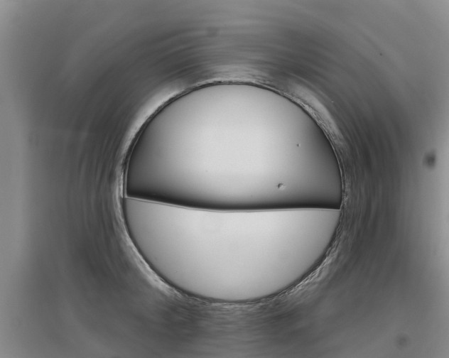 X0000097470804200802220828