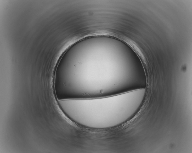 X0000097470805200802220828