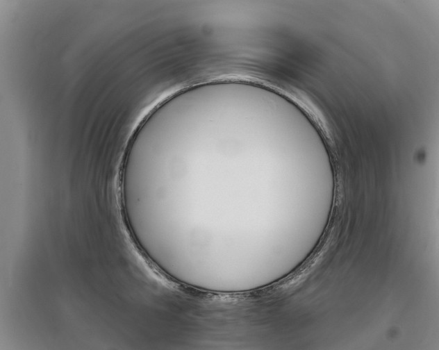 X0000097470806200802220828