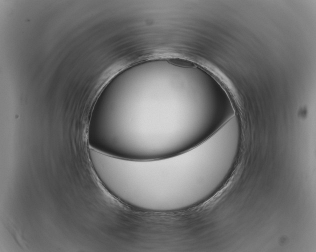 X0000097470809200802220828