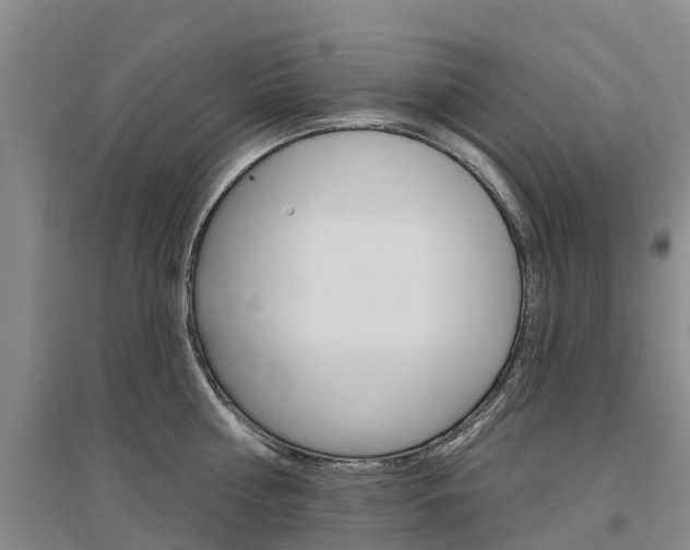 X0000097470810200802220828