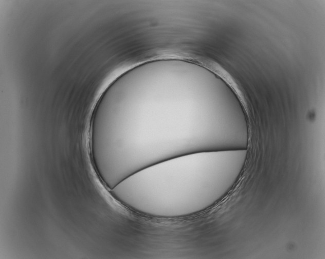 X0000097470811200802220828