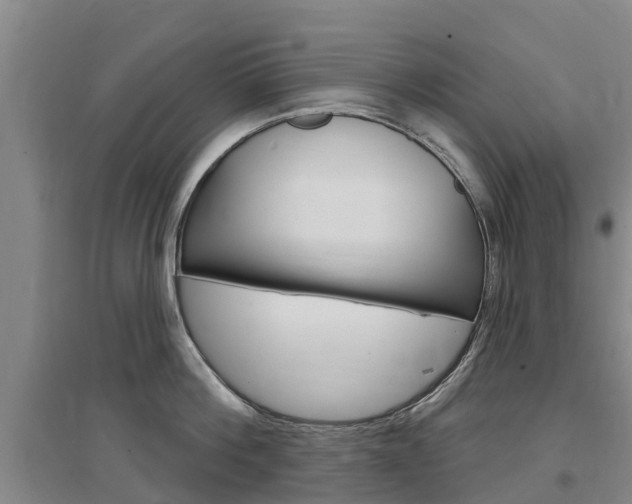 X0000097470812200802220828