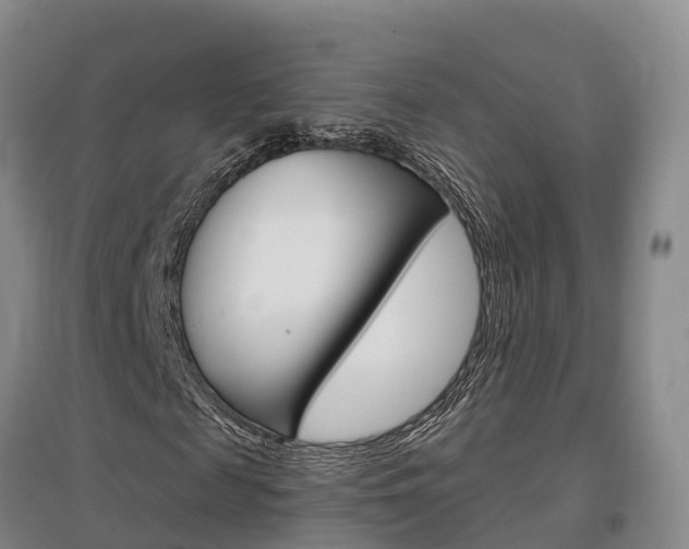 X0000097470817200802220827