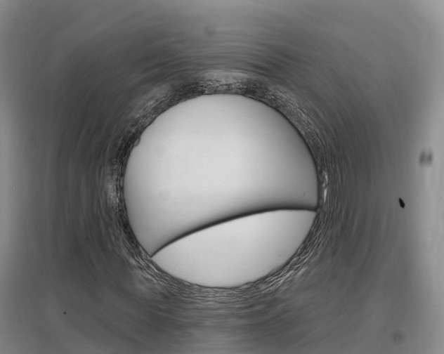 X0000097470819200802220827