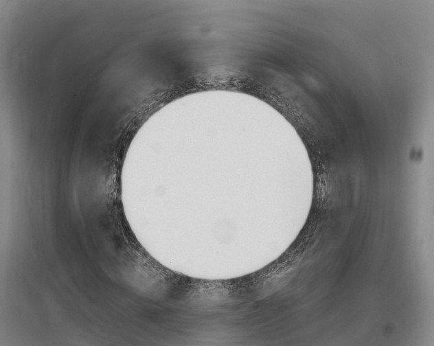 X0000097470820200802220827