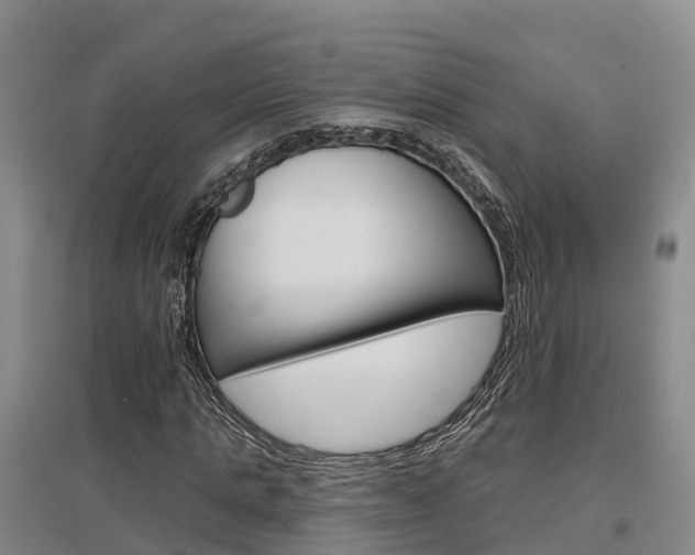 X0000097470821200802220827