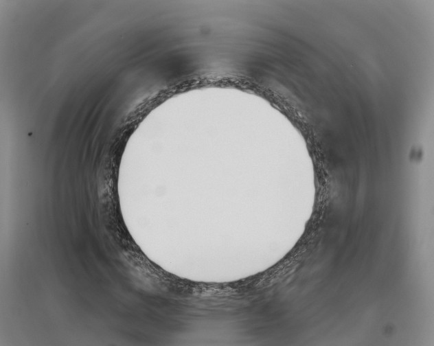 X0000097470824200802220827